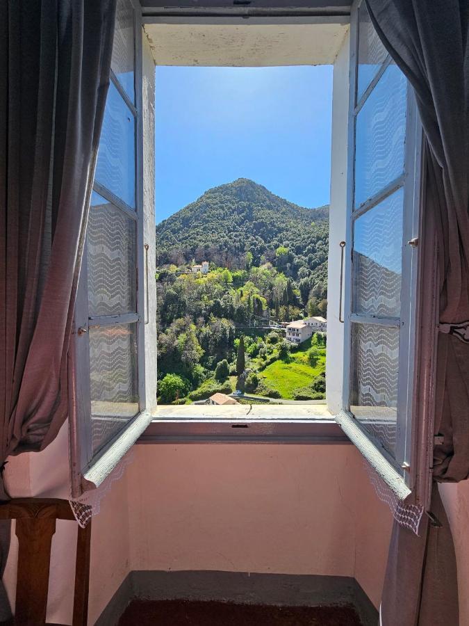 Palazzu Massoni, Magnifique Vue Sur La Mer Et La Montagne, Clim, Wifi, Parking Gratuit Cervione Exterior photo