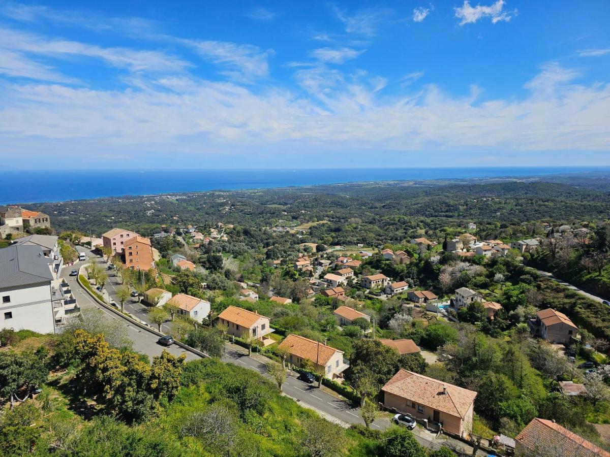 Palazzu Massoni, Magnifique Vue Sur La Mer Et La Montagne, Clim, Wifi, Parking Gratuit Cervione Exterior photo
